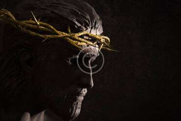 The Lifeway from Ignorance to Insight